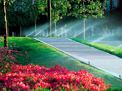 Landscape Services, McDonough, GA